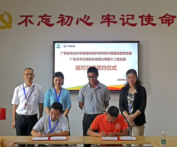 图片说明