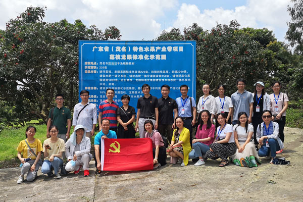 图片说明