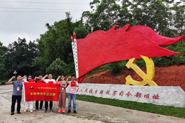 图片说明