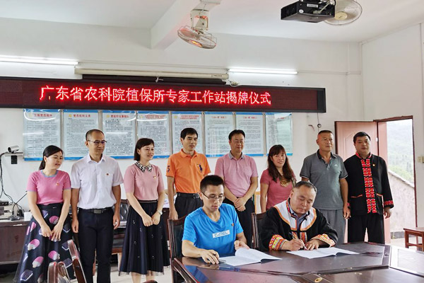 图片说明