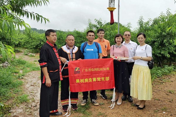 图片说明