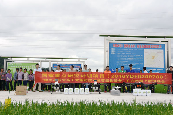 图片说明