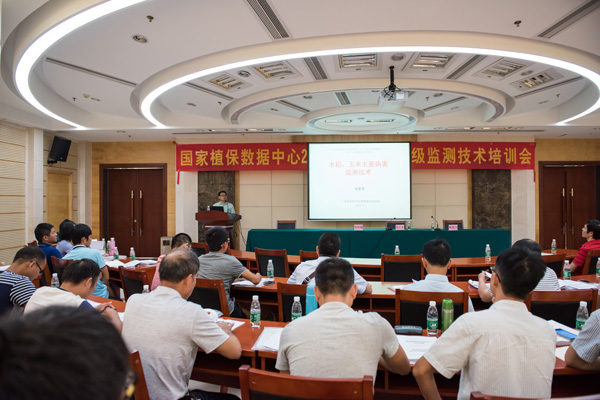 图片说明