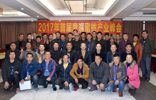 图片说明