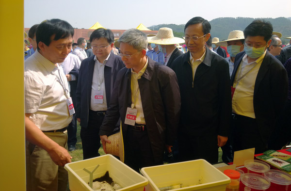 图片说明