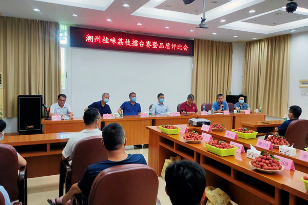 图片说明