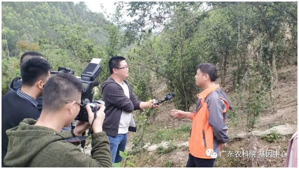 图片说明