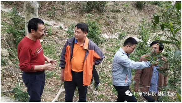 图片说明