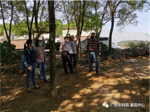 图片说明