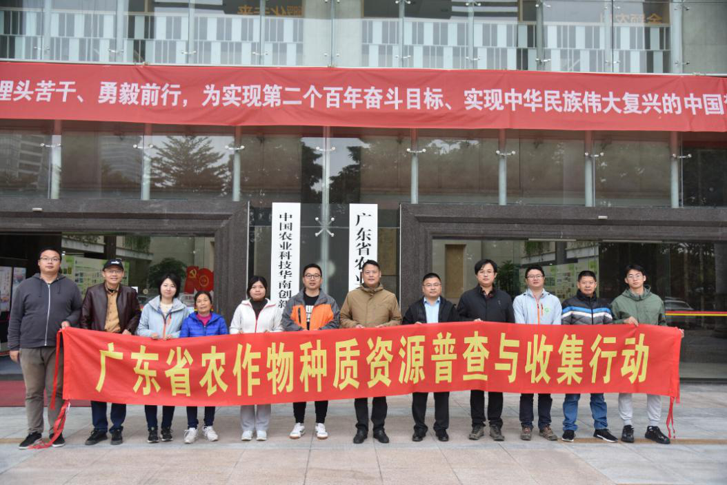 图片说明