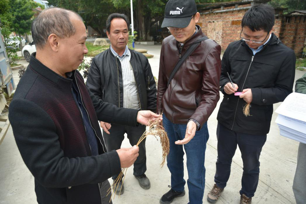 图片说明