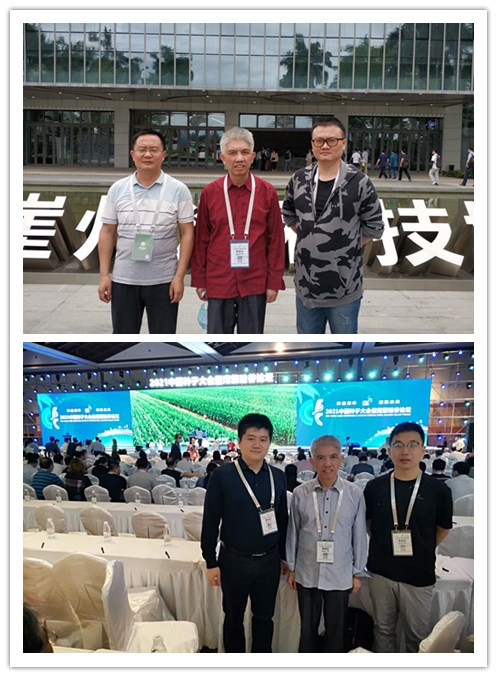 图片说明