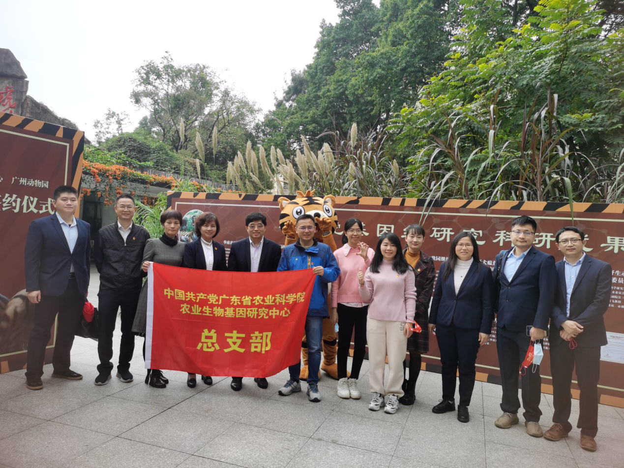 图片说明