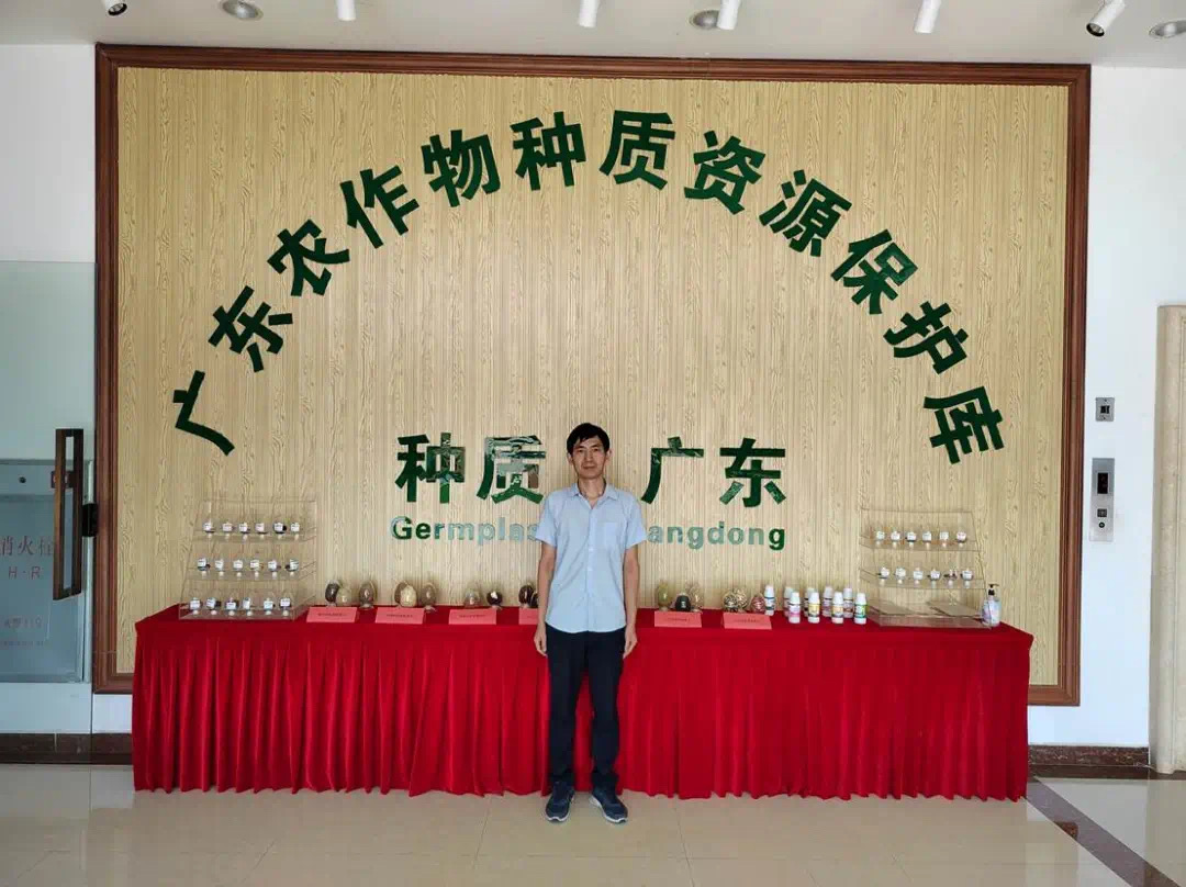 图片说明