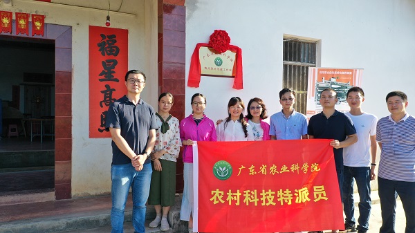 图片说明