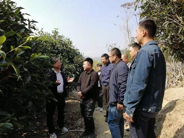 图片说明