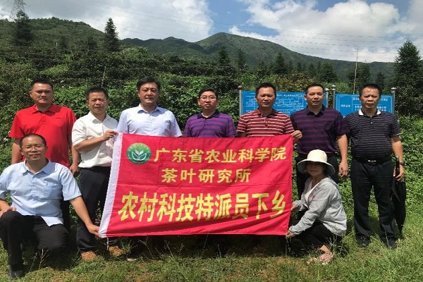 图片说明