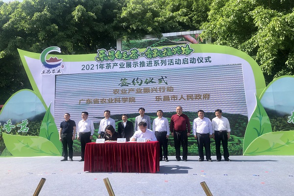 图片说明