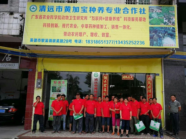图片说明