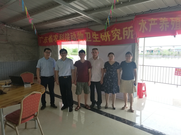 图片说明
