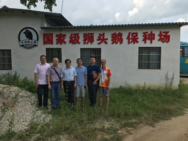 图片说明