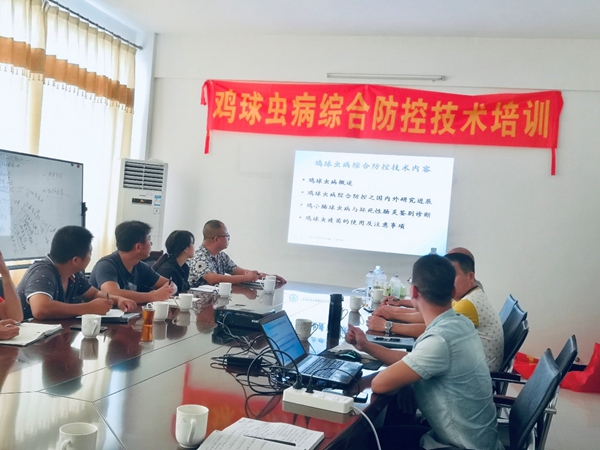 图片说明