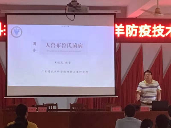 图片说明