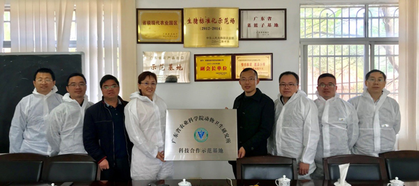图片说明