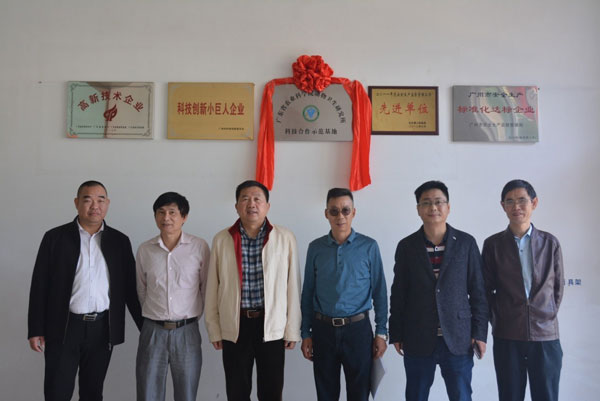 图片说明