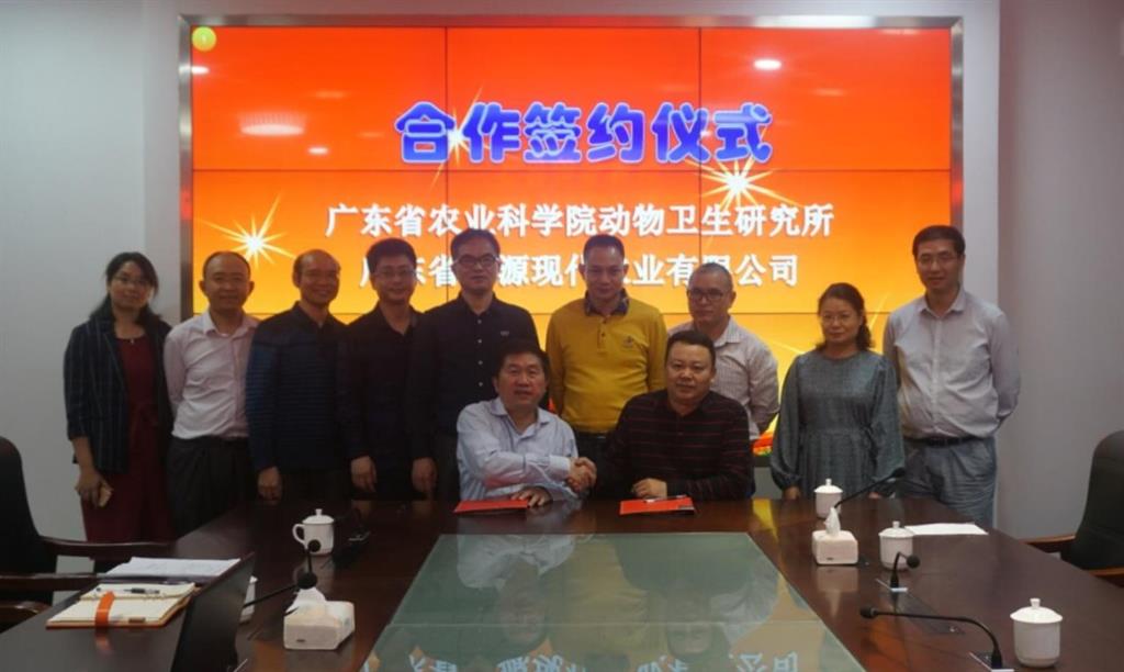 图片说明