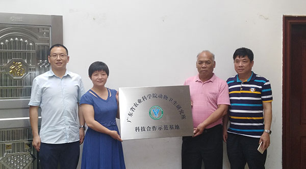 图片说明