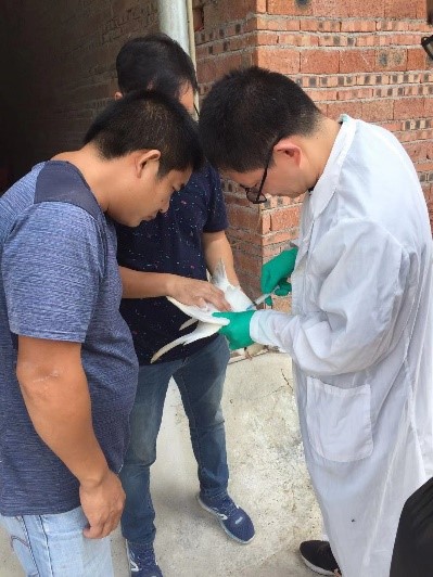 图片说明
