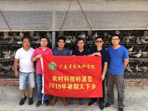 图片说明