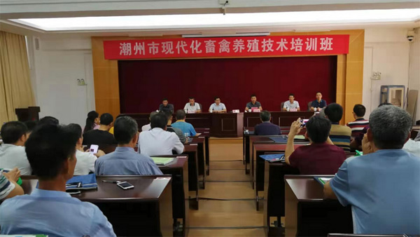 图片说明