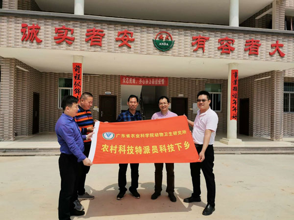 图片说明