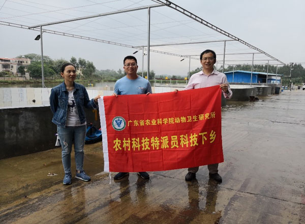 图片说明