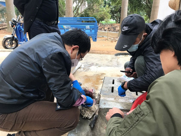 图片说明