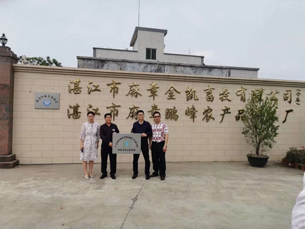图片说明