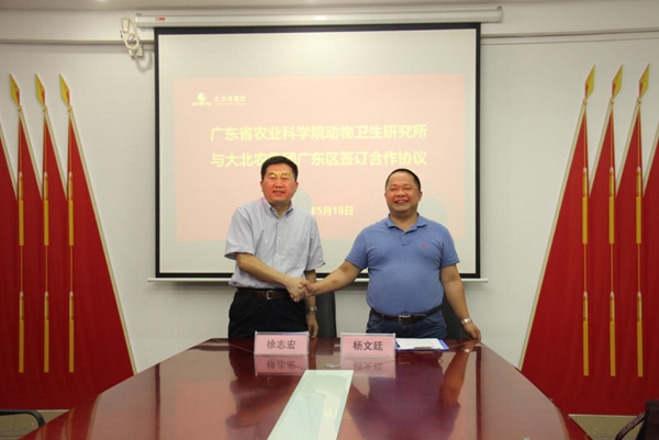 图片说明