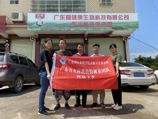 图片说明