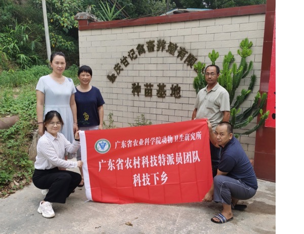 图片说明