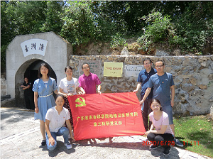 图片说明