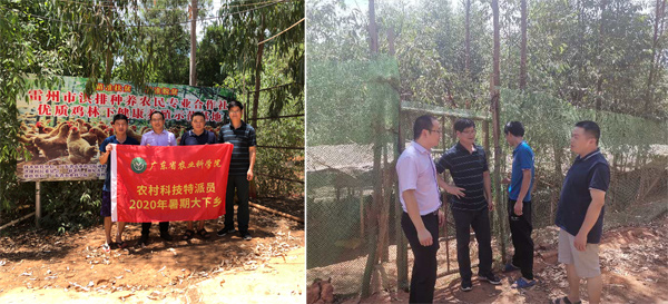 图片说明