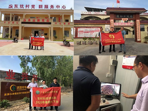 图片说明