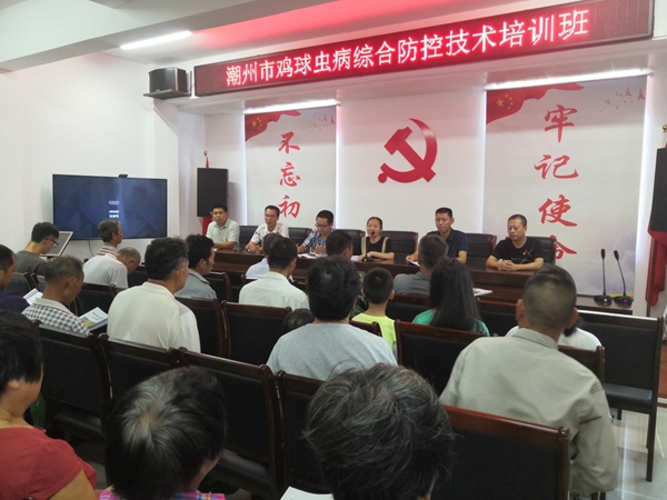 图片说明
