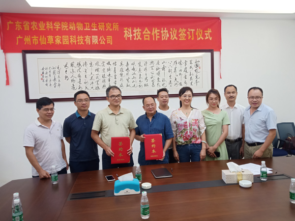 图片说明