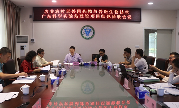 图片说明