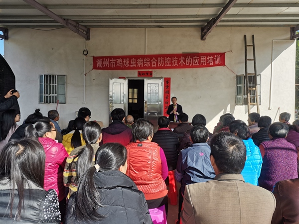 图片说明