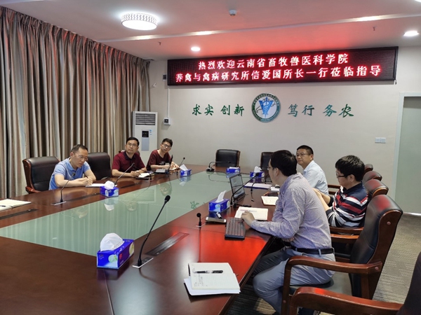 图片说明