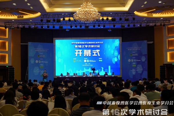图片说明
